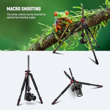 NEEWER 79 inch Tripod: Heavy-Duty DSLR Support