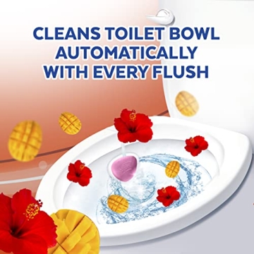 Lysol Automatic Toilet Bowl Cleaner - Mango & Hibiscus