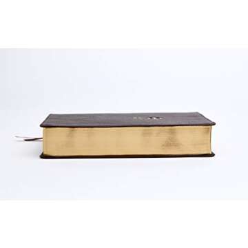 NRSV Catholic Journal Bible Leathersoft Comfort Print