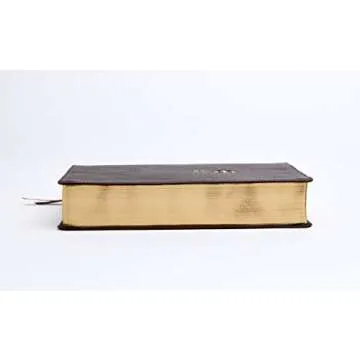 NRSV Catholic Journal Bible Leathersoft Comfort Print