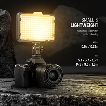 Neewer 176 LED Video Light for DSLR Cameras