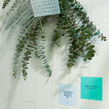 Affirmation Cards for Shower - Uplifting Daily Motivation