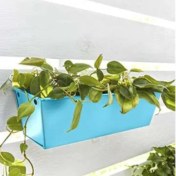 Krylon Fusion All-In-One Adhesive Spray Paint for Indoor/Outdoor Use, 12 oz, Baby Blue