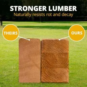 Gorilla Playsets Wooden Swing Set with Dual Wave Slides