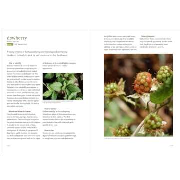 Southwest Foraging: 117 Wild and Flavorful Edibles from Barrel Cactus to Wild Oregano (Regional Foraging Series)