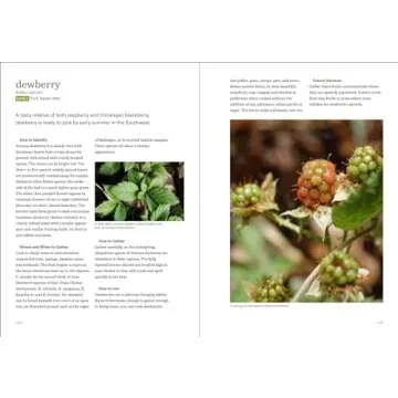 Southwest Foraging: 117 Wild and Flavorful Edibles from Barrel Cactus to Wild Oregano (Regional Foraging Series)