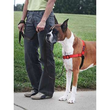 PetSafe Easy Walk Deluxe Dog Harness – No Pull & Comfortable Fit