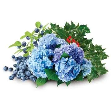 Jobe's Organics Granular Soil Amendment, Organic Soil Acidifier for Blueberry and Hydrangea Plants, 6 lbs Bag