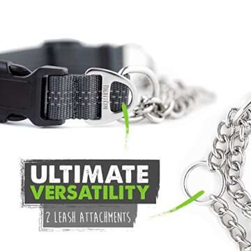 Mighty Paw Martingale Dog Collar 2.0 | Trainer Approved Limited Slip Collar with Stainless Steel Chain & Heavy Duty Buckle - Modified Cinch Collar for Gentle & Effective Pet Training - Large, Grey