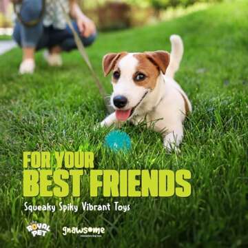 Gnawsome Squeak and Light Football,Multicolor,2.5",10010, 1 Count