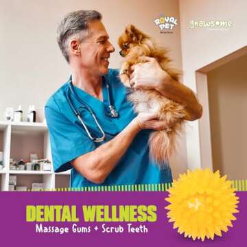 Gnawsome Squeak and Light Football,Multicolor,2.5",10010, 1 Count