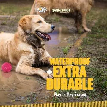 Gnawsome Squeak and Light Football for Dogs 2.5 Inch