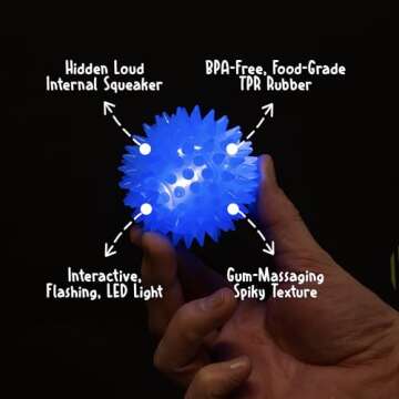 Gnawsome Squeak and Light Football,Multicolor,2.5",10010, 1 Count