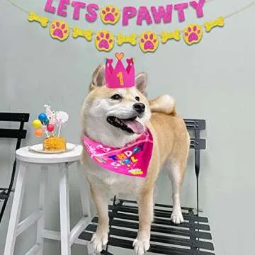 IDOLPET Dog Birthday Boy Bandana Hat Toy Set Pet Happy Birthday Party Supplies Triangle Bibs with Cute Bone Dog Birthday Scarf Accessories and Decoration for Doggy Large Dog - (Small Pink)