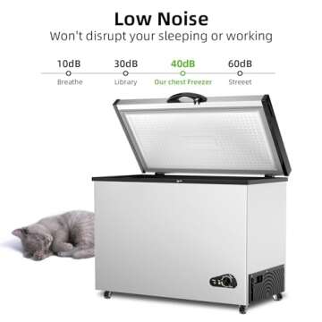 Energy Saving 14 Cu Ft Chest Freezer for Restaurants