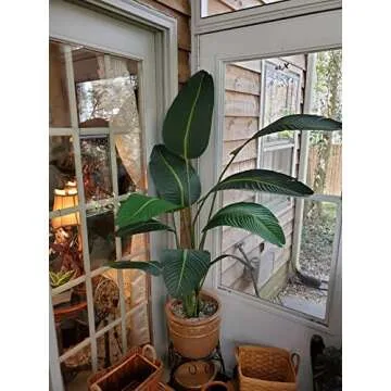 Silk Tree Warehouse Company Inc One 5 Foot Tall Artificial Bird of Paradise Palm with Free 10 inch Black Decorative Pot