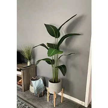 Silk Tree Warehouse Company Inc One 5 Foot Tall Artificial Bird of Paradise Palm with Free 10 inch Black Decorative Pot
