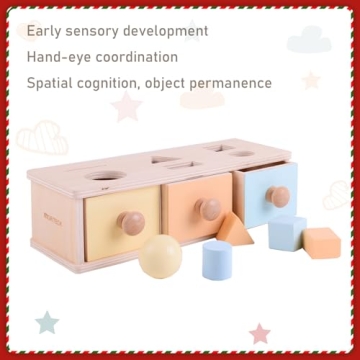 Montessori 3-in-1 Object Permanence Box Wooden Toy
