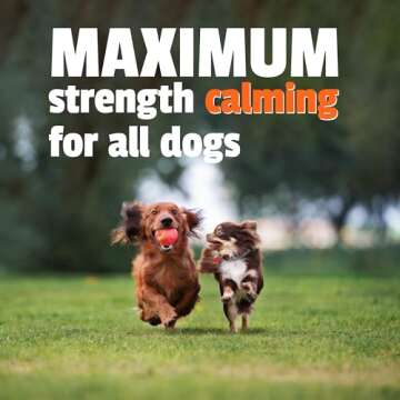 Pet Naturals BusyButter Extra Strength Calming Peanut Butter with Melatonin for Dogs - Great for Treats, Lick Mats, Training, Calming, and Enrichment Toys