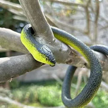 Porgaten Realistic Rubber Snakes for Garden & Parties