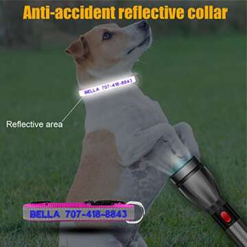 Reflective Personalized Dog Collar - Custom Embroidered Dog Collars with Pet Name and Phone Number f...