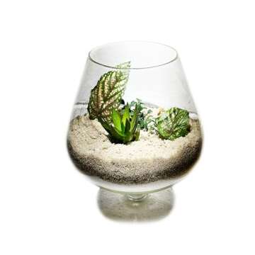 2 Pounds Natural Decorative Real Sand for use in Crafts, Decor, Vase Filler and More | Natural and N...