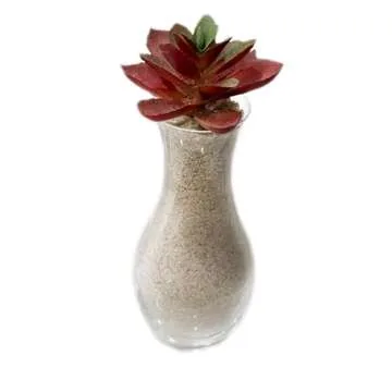 2 Pounds Natural Decorative Real Sand for use in Crafts, Decor, Vase Filler and More | Natural and Non-Toxic, Fun Wet and Dry Indoor and Outdoor, Sandbox, Therapy, and Table Use