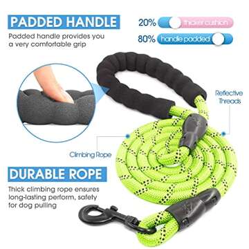 BAAPET 2/4/5/6 FT Dog Leash with Comfortable Padded Handle and Highly Reflective Threads for Small M...