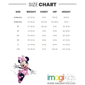Minnie Mouse Toddler Outfit Set in Pink & Blue 5T