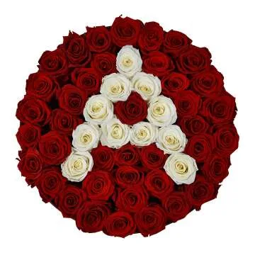 Custom Premium Roses – Fresh Flower Delivery & Gifts