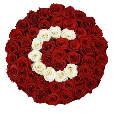 Custom Premium Roses – Fresh Flower Delivery & Gifts