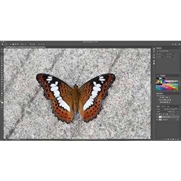 Adobe Photoshop | Photo, image, and design editing software | 12-month Subscription with auto-renewal, billed monthly, PC/Mac