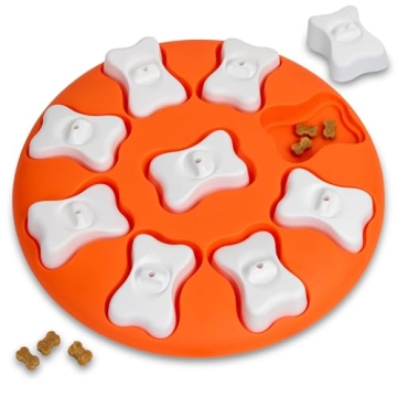 Outward Hound Beginner Dog Puzzle Toy for Mental Stimulation