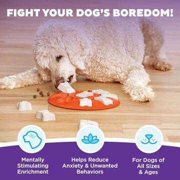 Outward Hound Beginner Dog Puzzle Toy for Mental Stimulation