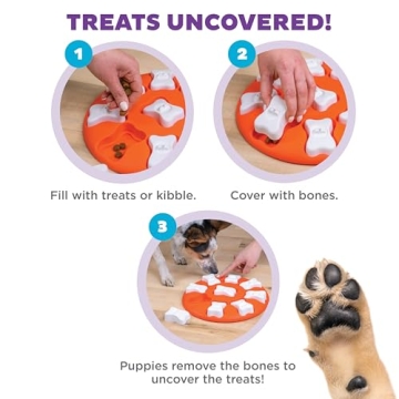 Outward Hound Beginner Dog Puzzle Toy for Mental Stimulation