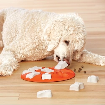 Outward Hound Beginner Dog Puzzle Toy for Mental Stimulation