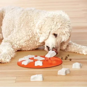 Outward Hound Beginner Dog Puzzle Toy for Mental Stimulation