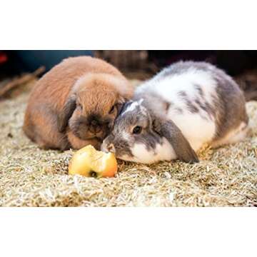 All Walks Hemp Bedding for Small Animals | Eco-Friendly 40L