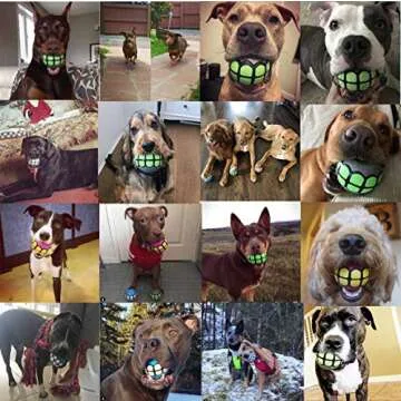 Dawg Grillz Dog Balls Toys Squeaky Fetch - Rubber Funny Ball Gifts for Large Medium Dogs (Blue White)