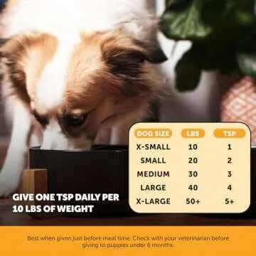 Premium Omega-3 Salmon Oil for Dogs: Allergy Relief & Health