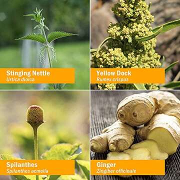 Herb Pharm Skin Health Herbal Formula for Healthy Skin 1 Oz