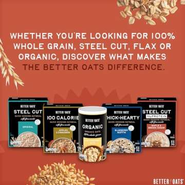 Better Oats Original Steel Cut Oatmeal Packets, Original Flavor,Instant Oatmeal Packets with Steel Cut Oats and Flax Seeds, Quick Oatmeal Pouches Ready in 2.5 Minutes, Box of 10 Pouches (Pack of 6)