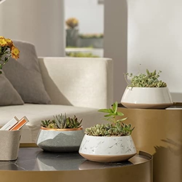 LA JOLIE MUSE Large Succulent Planter Pots - Ceramic Indoor Outdoor Garden Pot with Drainage for Plant Flower, 8 Inch, Gray