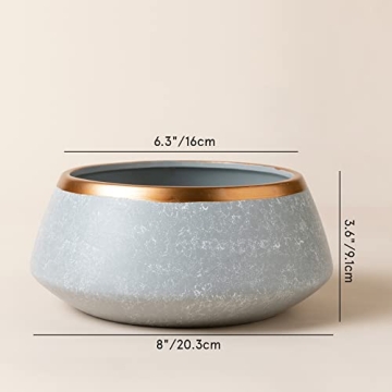 LA JOLIE MUSE Large Succulent Planter Pots - Ceramic Indoor Outdoor Garden Pot with Drainage for Plant Flower, 8 Inch, Gray