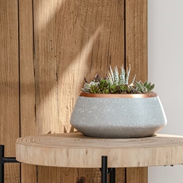 LA JOLIE MUSE Large Succulent Planter Pots - Ceramic Indoor Outdoor Garden Pot with Drainage for Plant Flower, 8 Inch, Gray