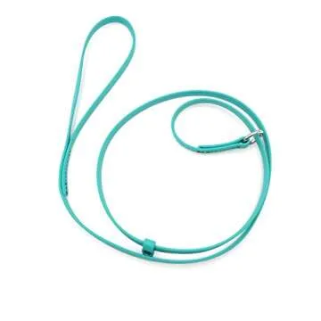 Jelly Pet Grooming Lead for Dogs | Great for Kennels, Veterinarians and Dog Grooming Salons | Biothane Leash - Easy to Clean, Waterproof & Durable Noose Loop | Made in The USA | 5/8" x 6'