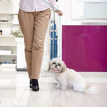 Jelly Pet Grooming Lead for Dogs | Great for Kennels, Veterinarians and Dog Grooming Salons | Biothane Leash - Easy to Clean, Waterproof & Durable Noose Loop | Made in The USA | 5/8" x 6'