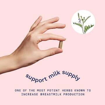 Goat's Rue Lactation Supplement for Milk Supply Increase