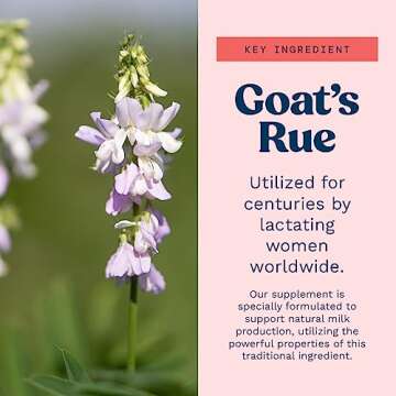 Goat's Rue Lactation Supplement for Milk Supply Increase