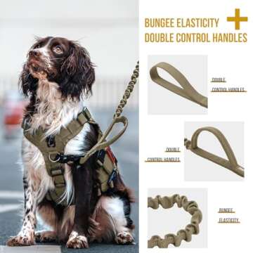 OneTigris Bungee Dog Leash for Strong Training Control